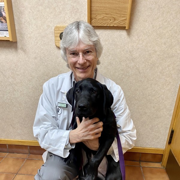 Dr. McBride with a patient. Veterinarians in Michigan can now discuss CBD for pets.
