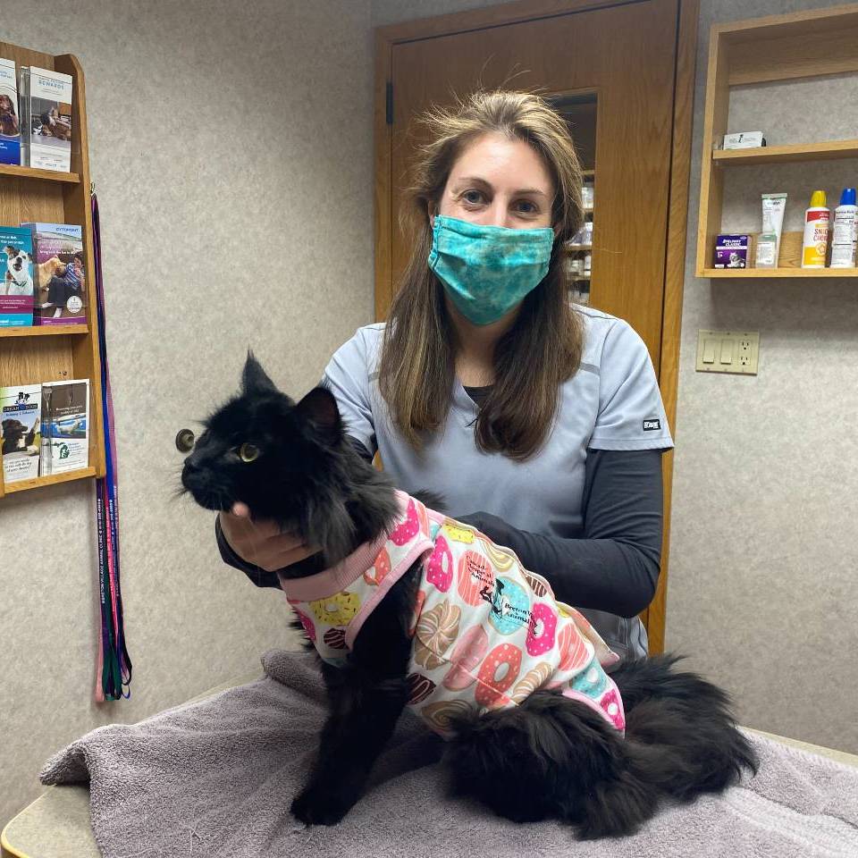 Dr. Grimes of Grand Rapids veterinarian Cascade Hospital for Animals with diabetic cat Max.