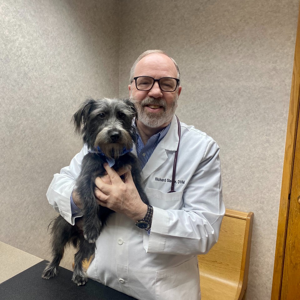 Dr. Siegle poses with a patient who receives heartworm, flea, and tick prevention year round.