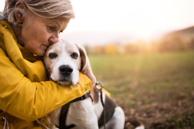 Discussing End-of-Life Care with Your Veterinarian
