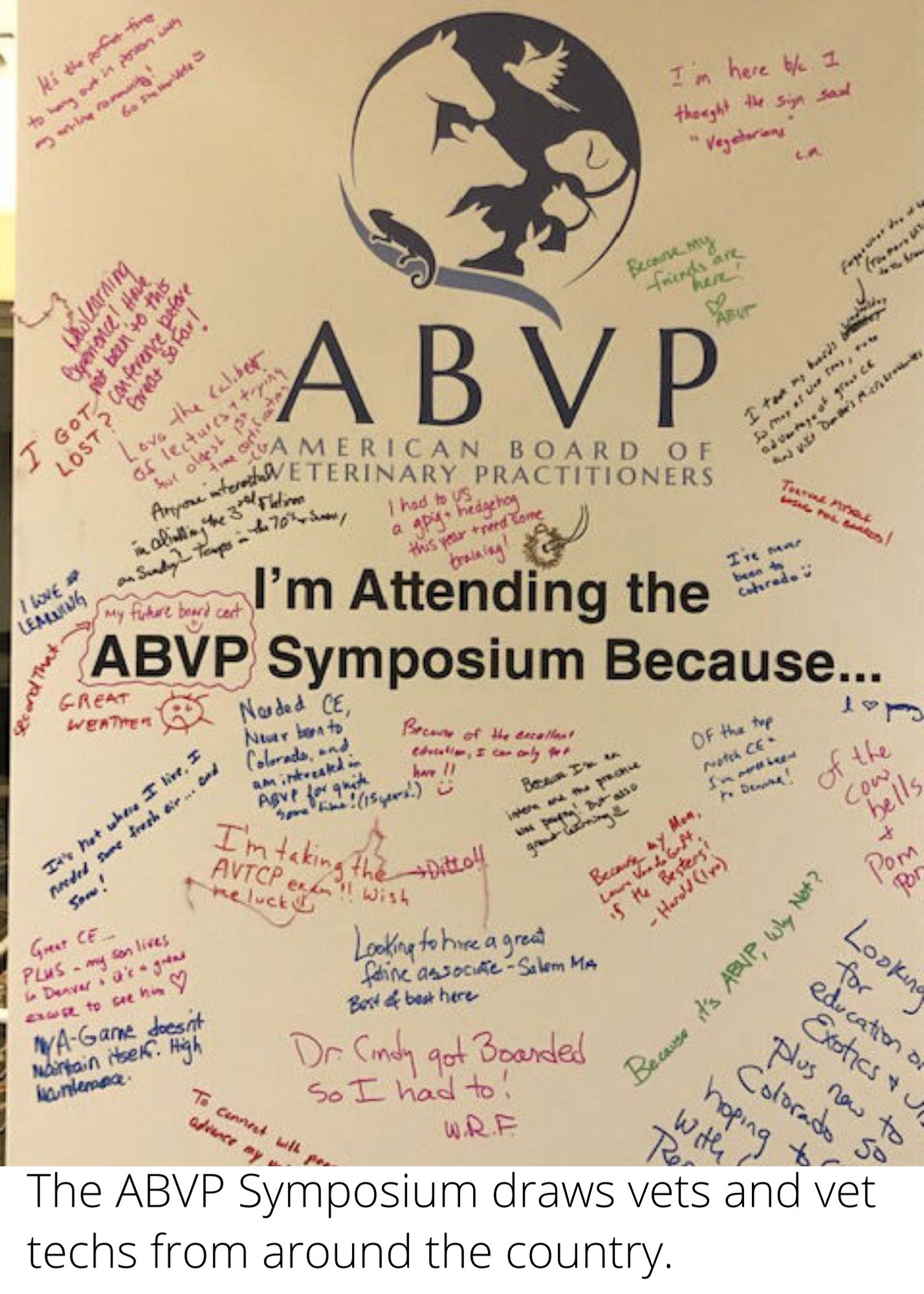 what is abpv