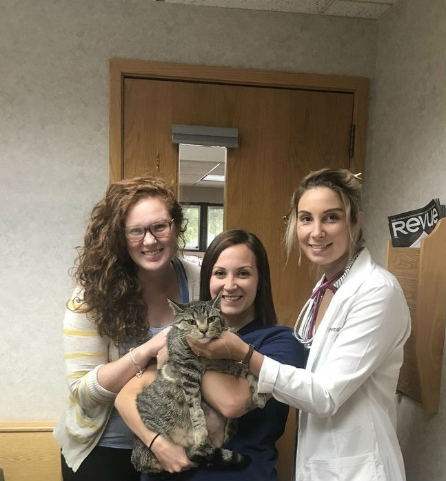 "A very special guy"—How CHFA saved a cat in a dire health situation