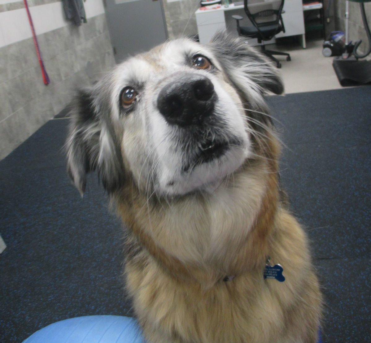 Lucy gives Emily her full attention during a rehab session.