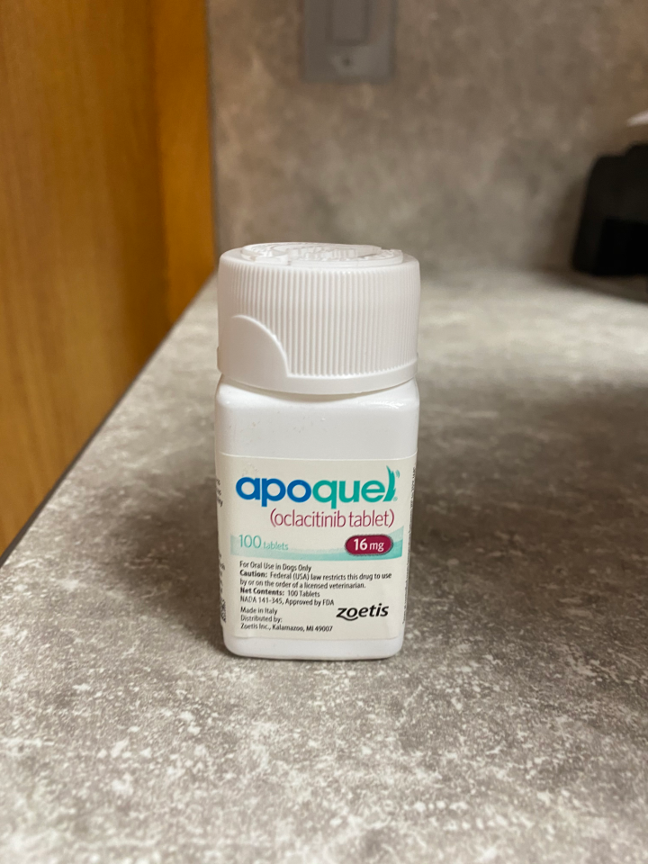 Apoquel capsules