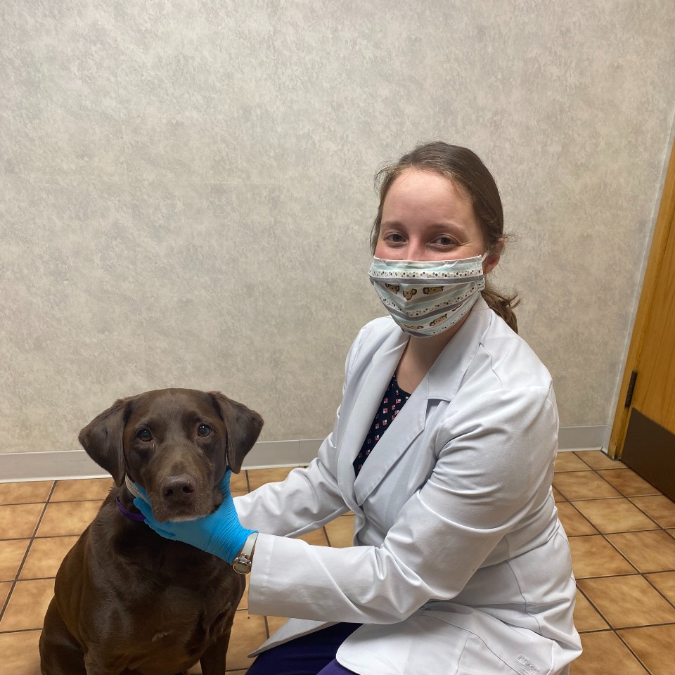 Dr. Rasche examines patient Tully, who fortunately does not have kennel cough