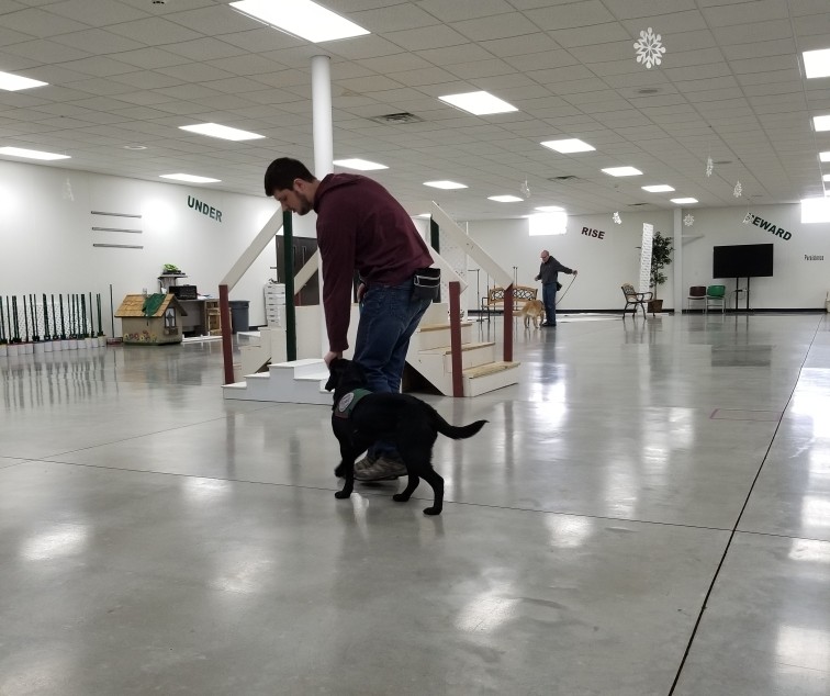 paws with a cause puppy class