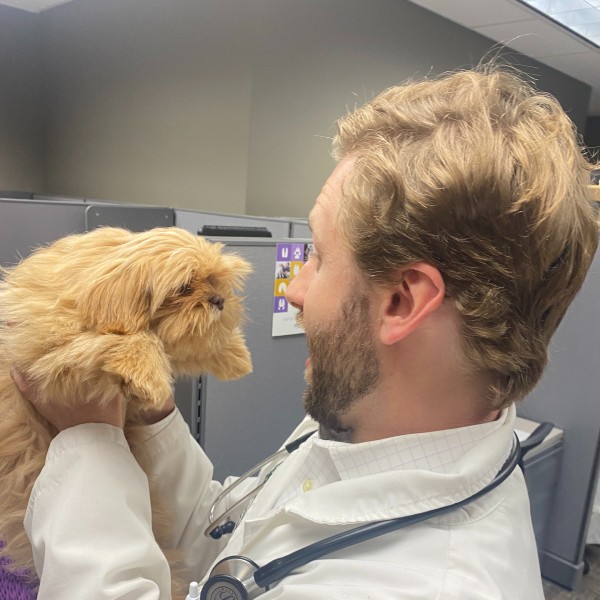 Dr. Clayton Siegle interacts with an extra-cute patient.