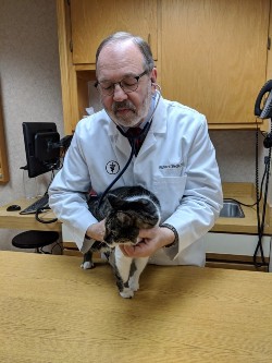 dr siegle with a cat