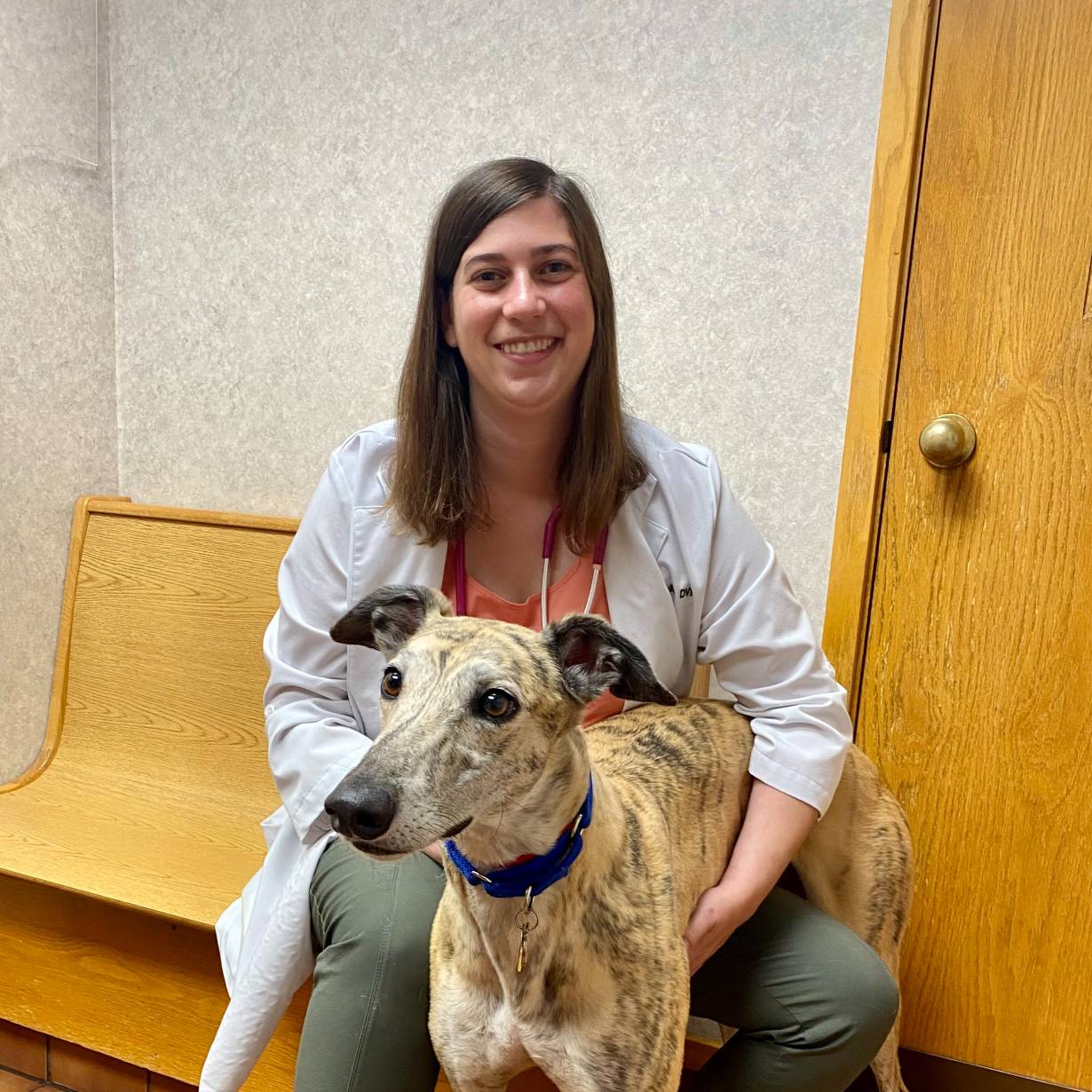 Dr. Fuller poses with Palmer the greyhound. Fireworks can be a source of stress and confusion for dogs like Palmer