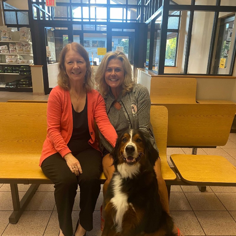 CHFA employee Kathy, Rocky's owner Mary Anne, and Rocky pose at Cascade Hospital for Animals after recheck.