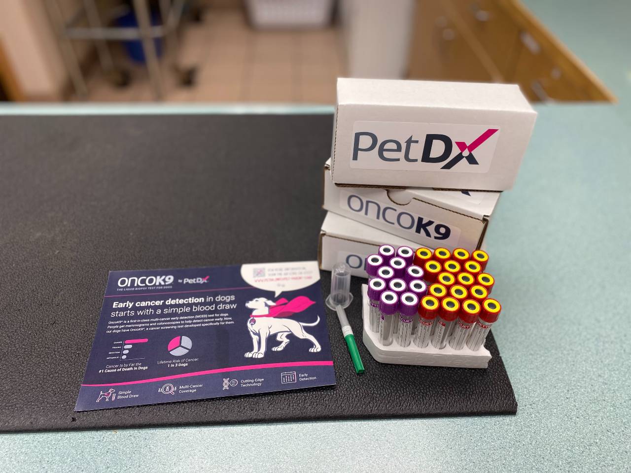 oncok9 cancer screen veterinary