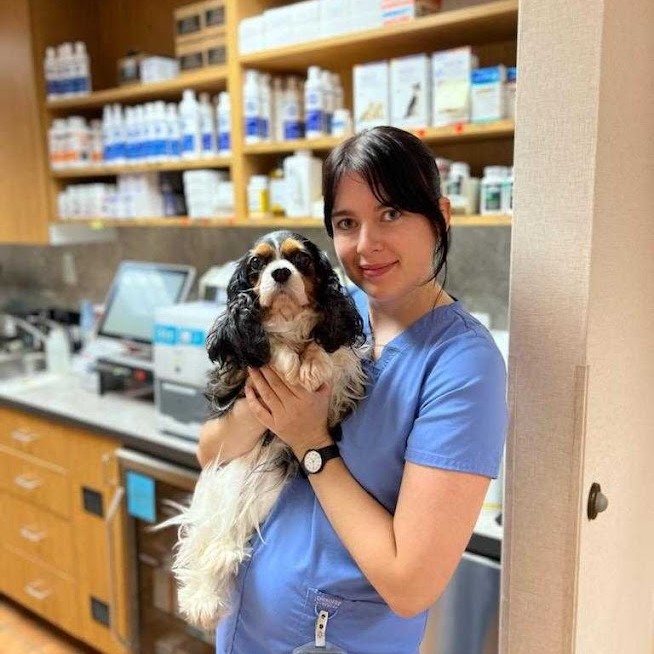 Gabe Kleinschmidt, RVN, poses with a Cavalier King Charles Spaniel