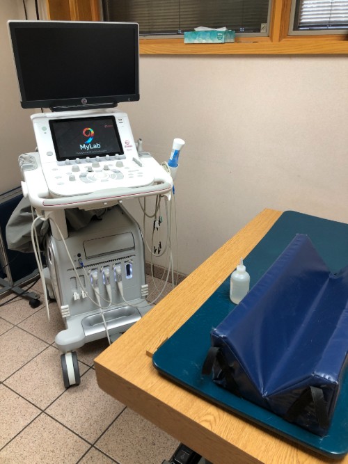 ultrasound machine veterinarian