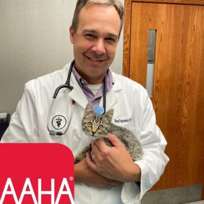 Grand Rapids Vet Clinic AAHA Accredited