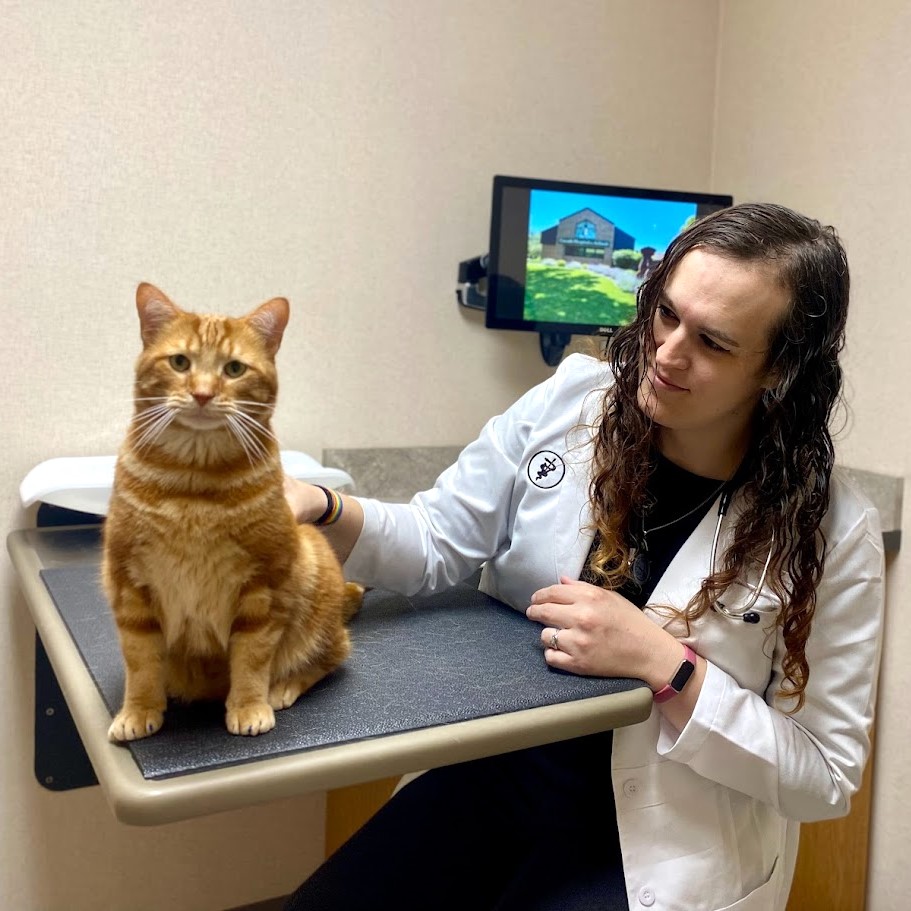 Dr. Maia Godfrey with her orange cat patient talking about appropriate litter box behavior. 