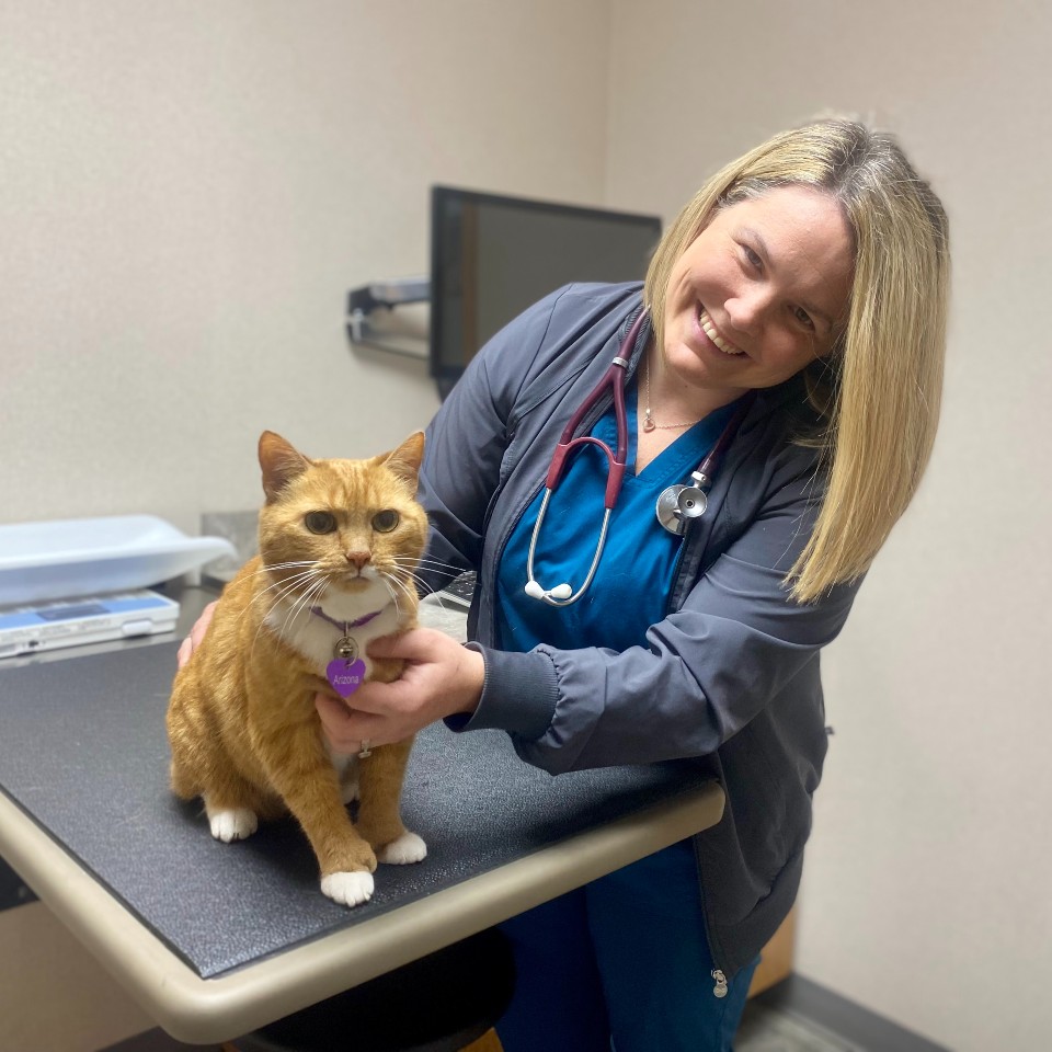 Dr. Solnik examines Arizona, whose monthly injections of Solensia help relieve her arthritis pain.