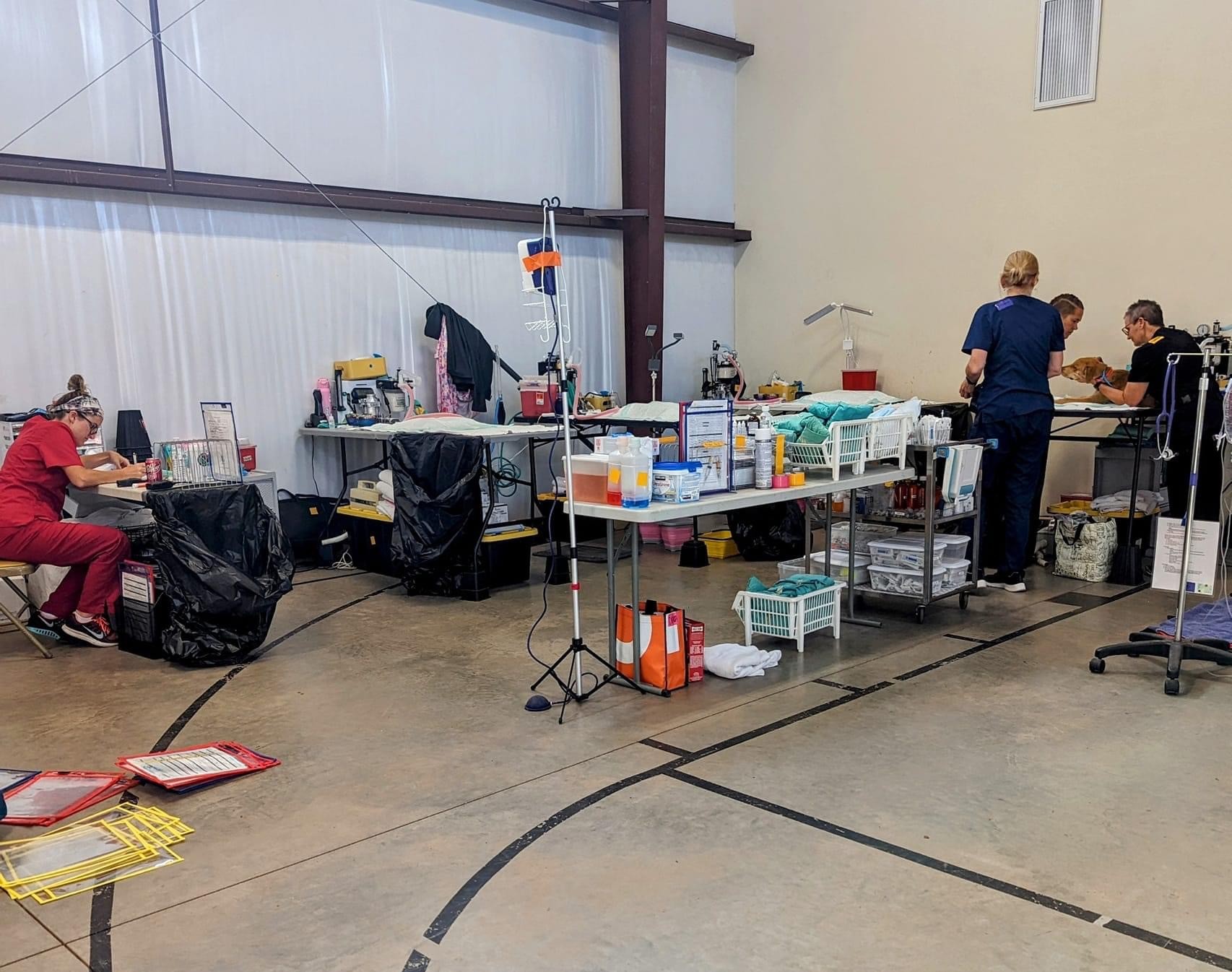 The volunteer mobile veterinary clinic set up in a gymnasium.