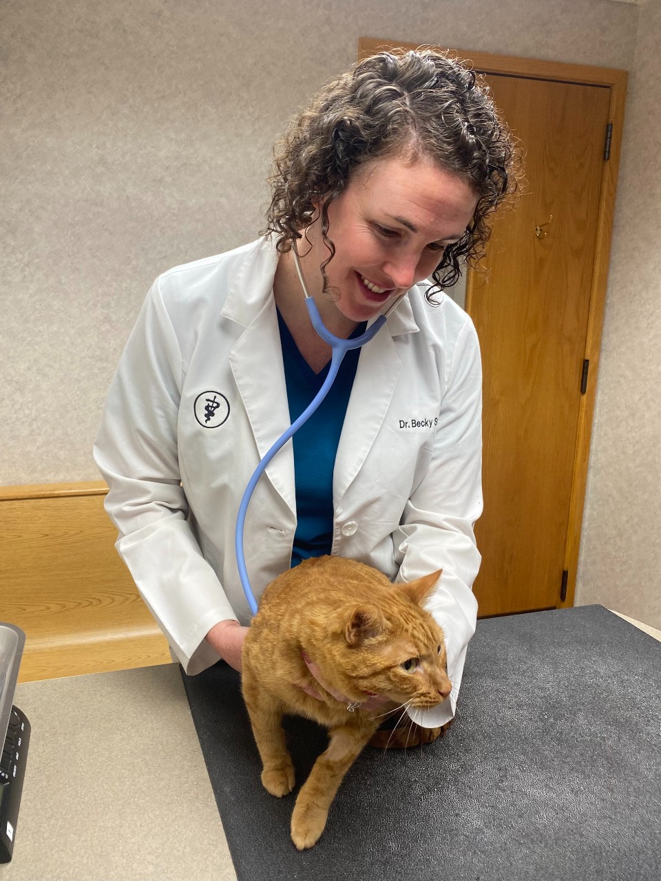 dr schaffer grand rapids vet with cat