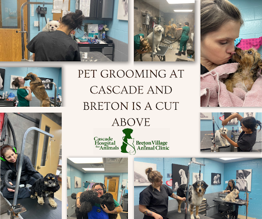 Pet grooming at our Grand Rapids, MI, veterinary clinics is better than other locations.