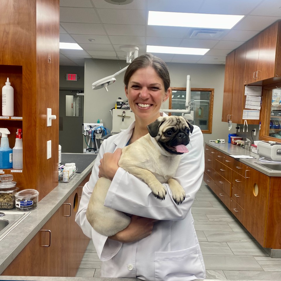 Dr. Wesselink holds a pug puppy. New puppy parents often ask many of the same questions.