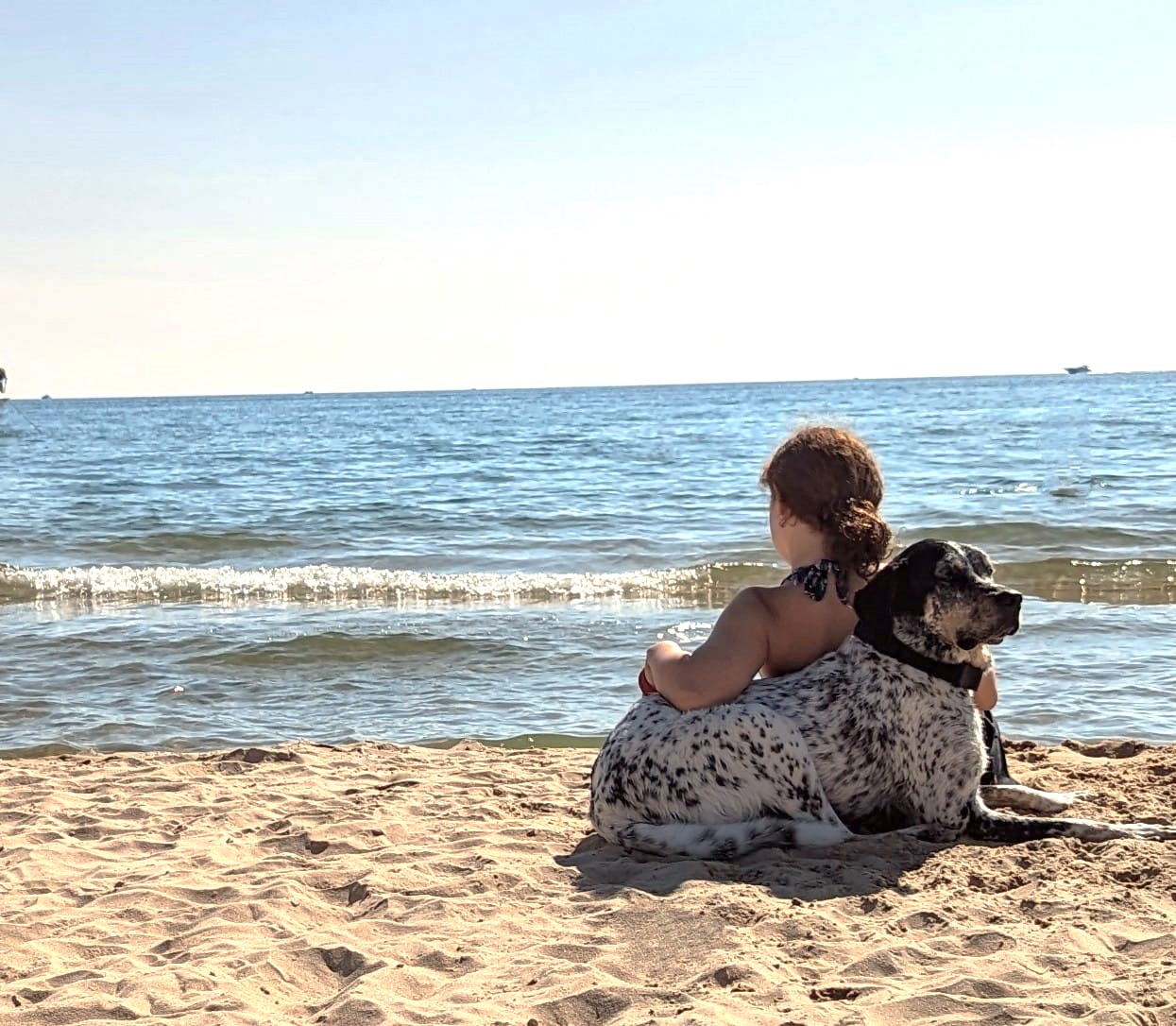 Discover Dog-Friendly Beaches, Parks, and Restaurants in West Michigan This Summer
