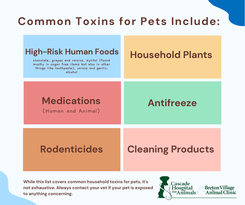 Common Pet Toxins