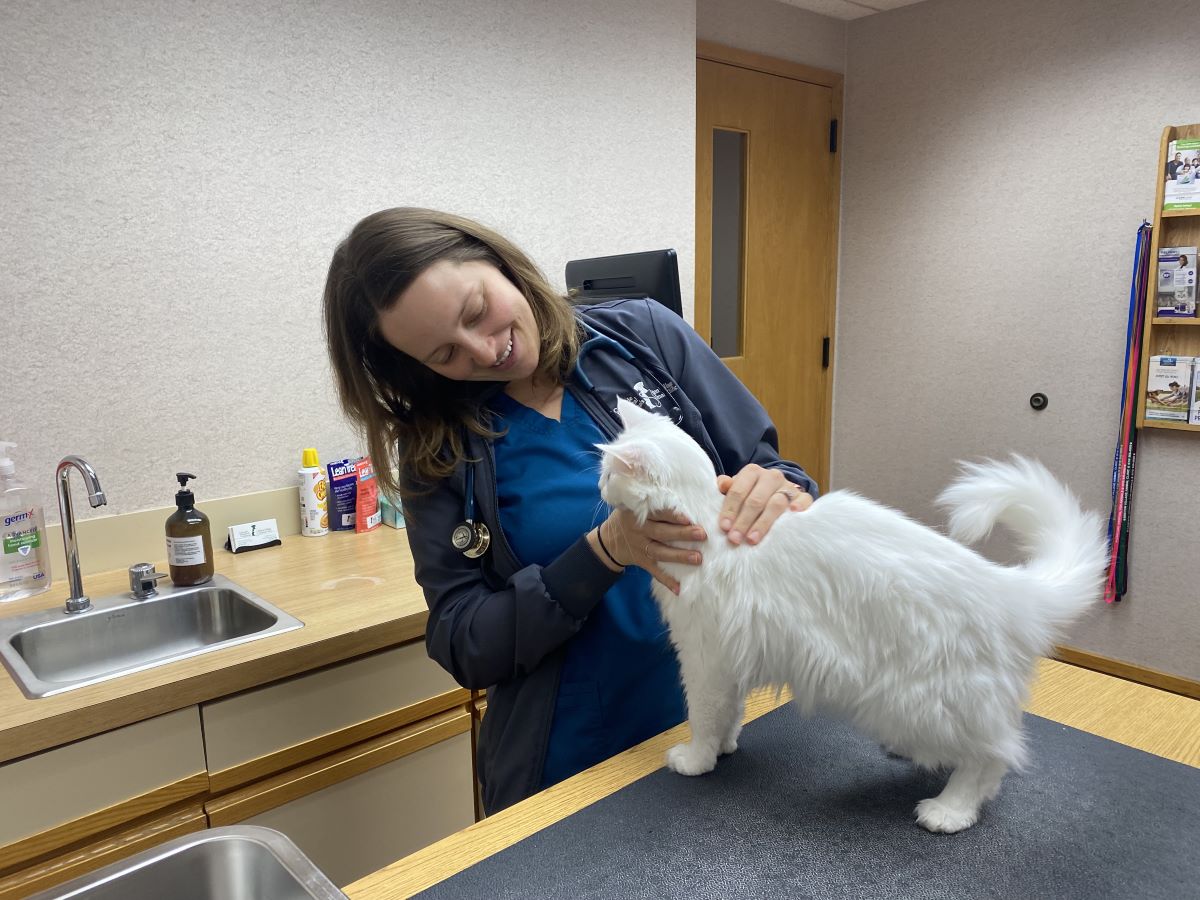 Our entire staff is devoted to maintaining kitten health from the start.