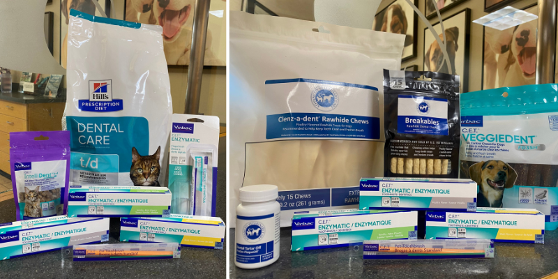 Pet Dental Products