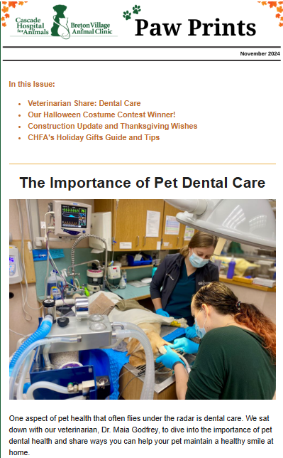 Veterinary Newsletter