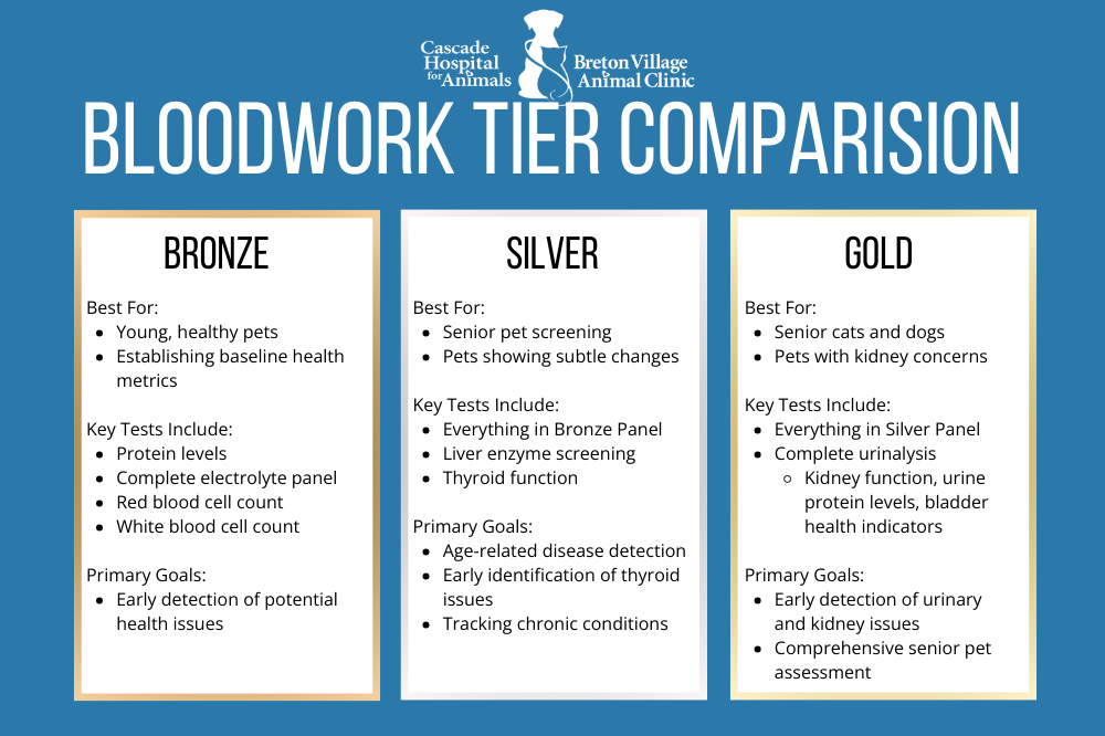 Why Do Bloodwork on Pets