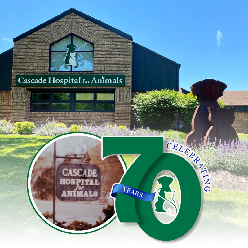  Celebrating 70 Years  A Legacy of Care at Cascade Hospital for Animals