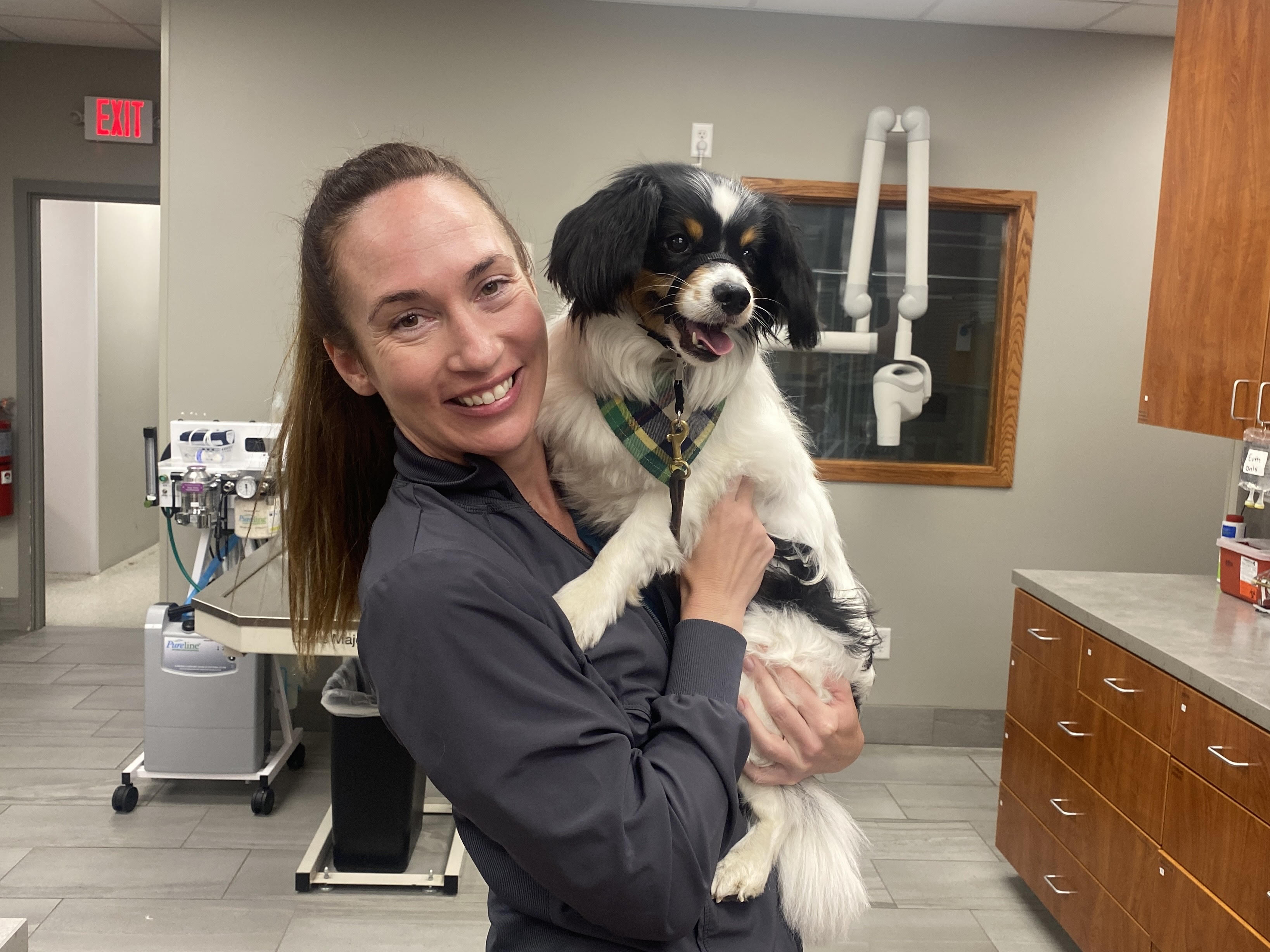 What You Need to Know About Leptospirosis