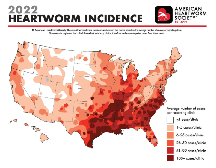 Blog 2022 Heartworm Incidence