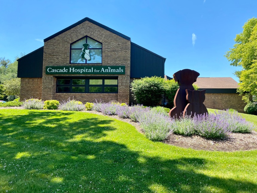 Animal Hospital, Grand Rapids, MI | Cascade Hospital for Animals | Breton  Village Animal Clinic