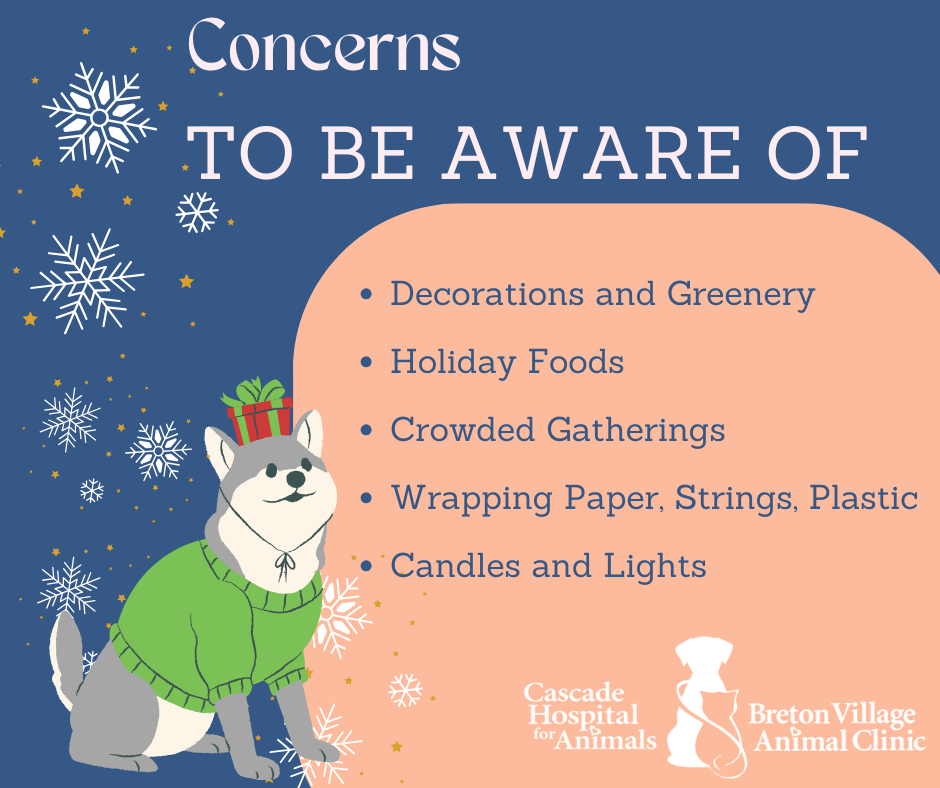 Grand Rapids Vet Christmas Dangers