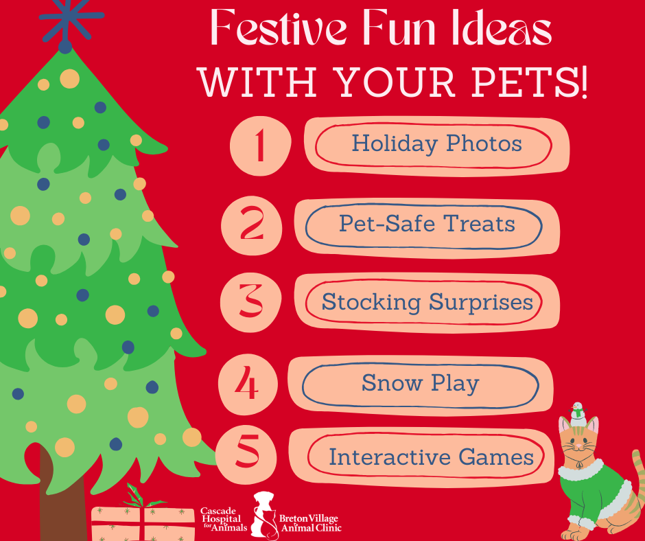 Grand Rapids Veterinarian Holiday Pet Fun and Safety