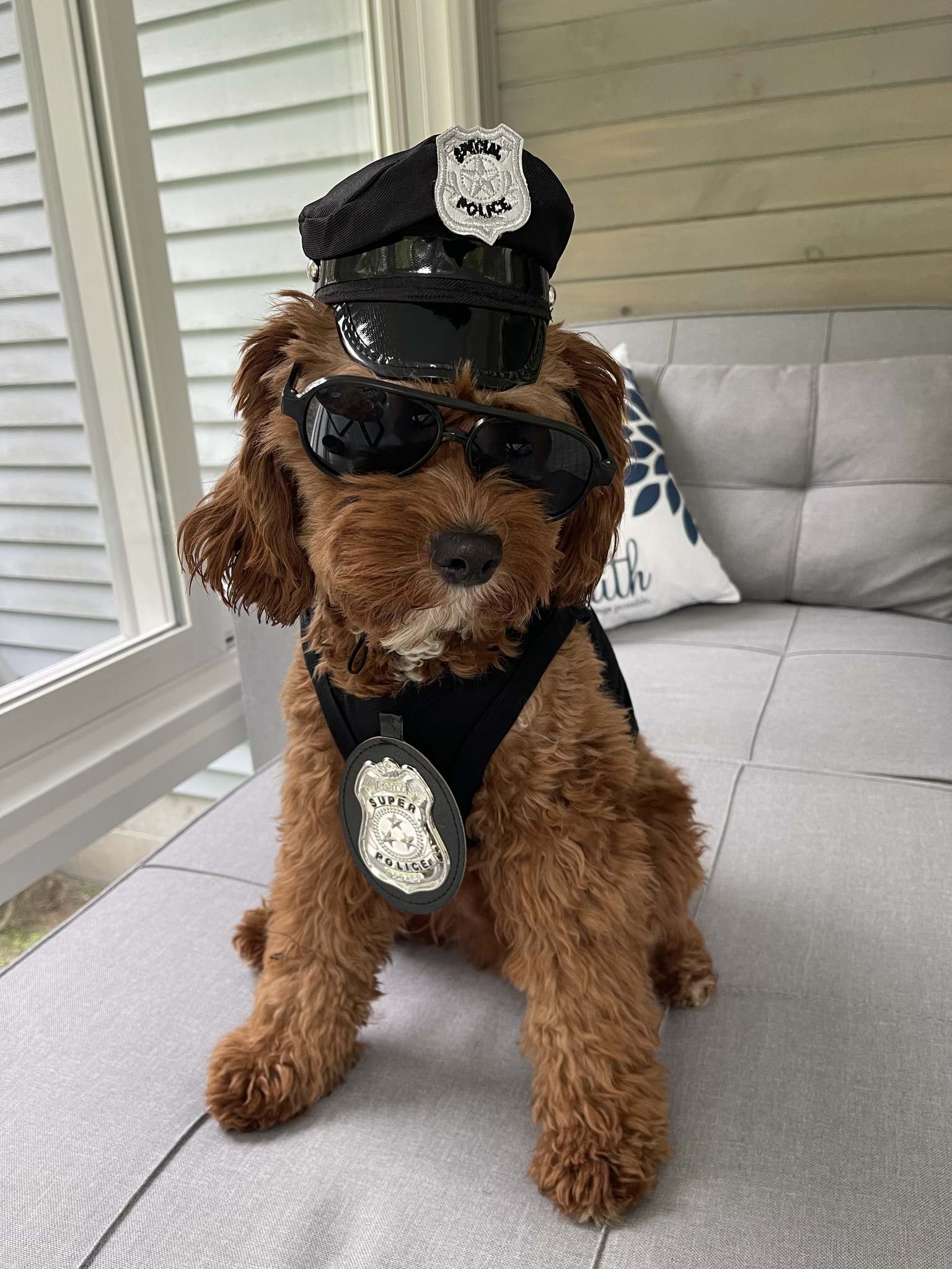 Police dog halloween costume