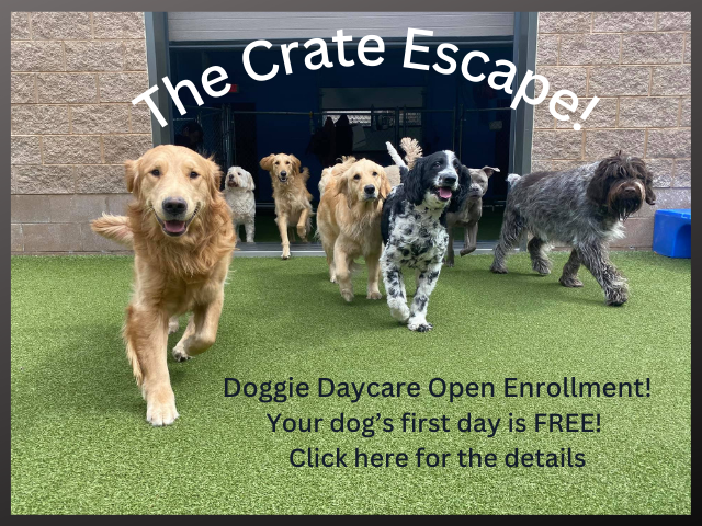 The Crate Escape
