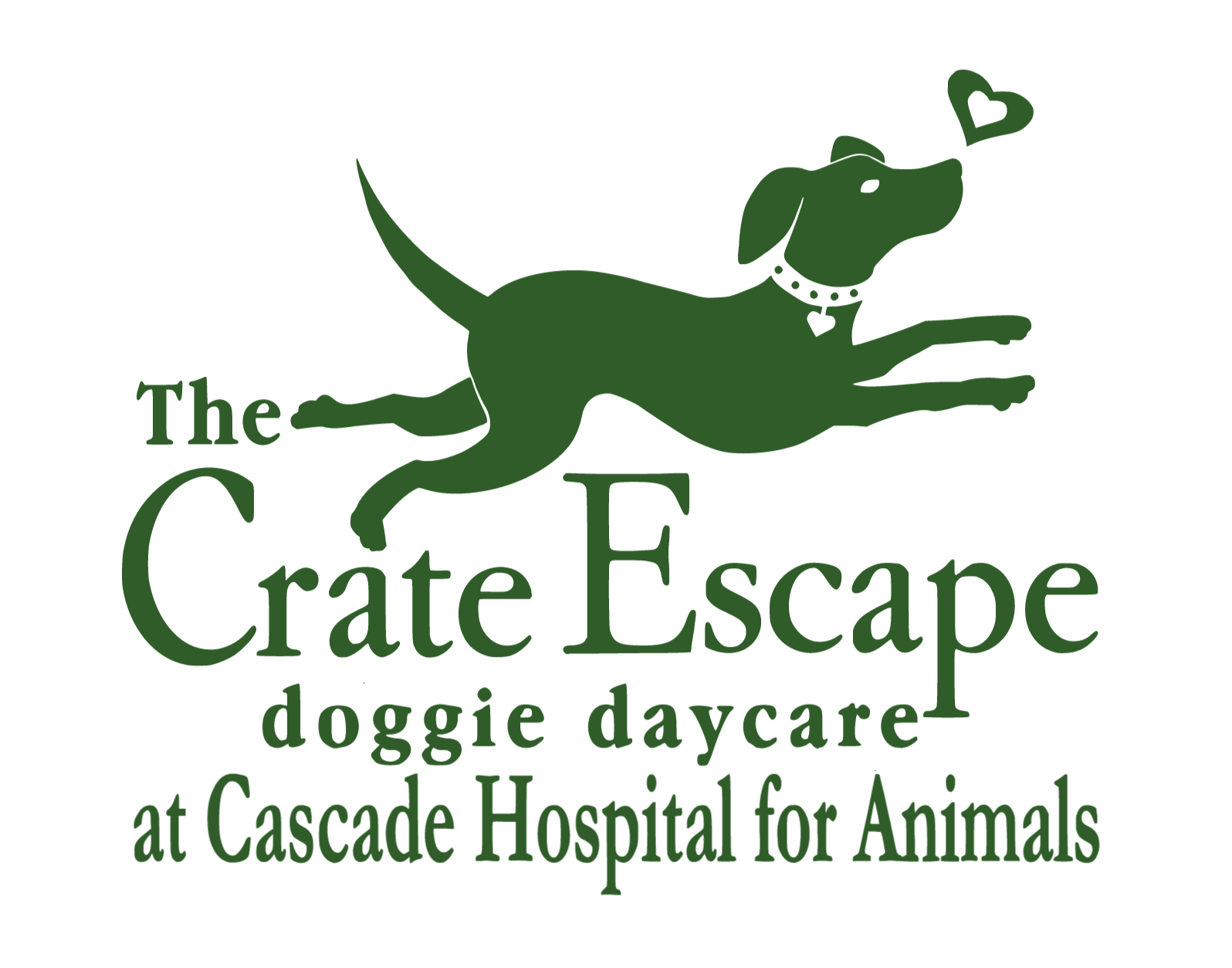 Crate Escape Dog Daycare