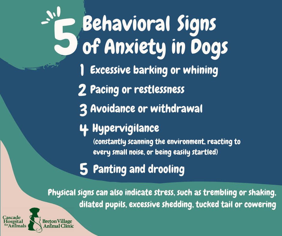 Signs of Dog Anxiety vet