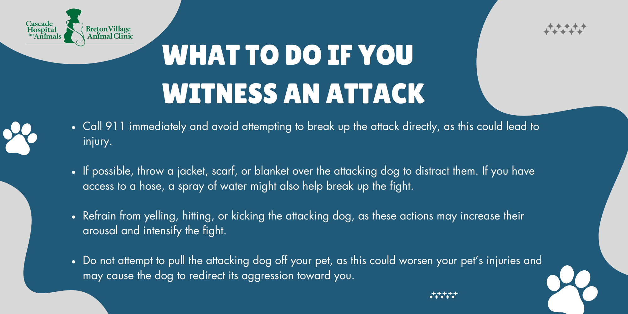 What to Do if You Witness a dog attack 3