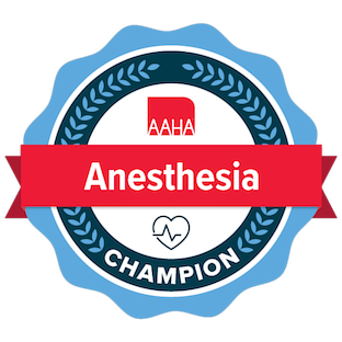 aaha anesthesia safety and monitoring certificate
