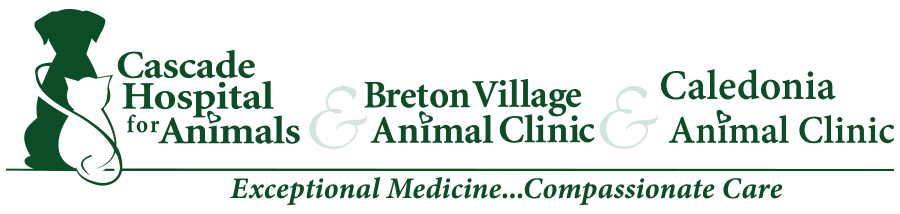 Casecade Breton Caledonia Group Logo