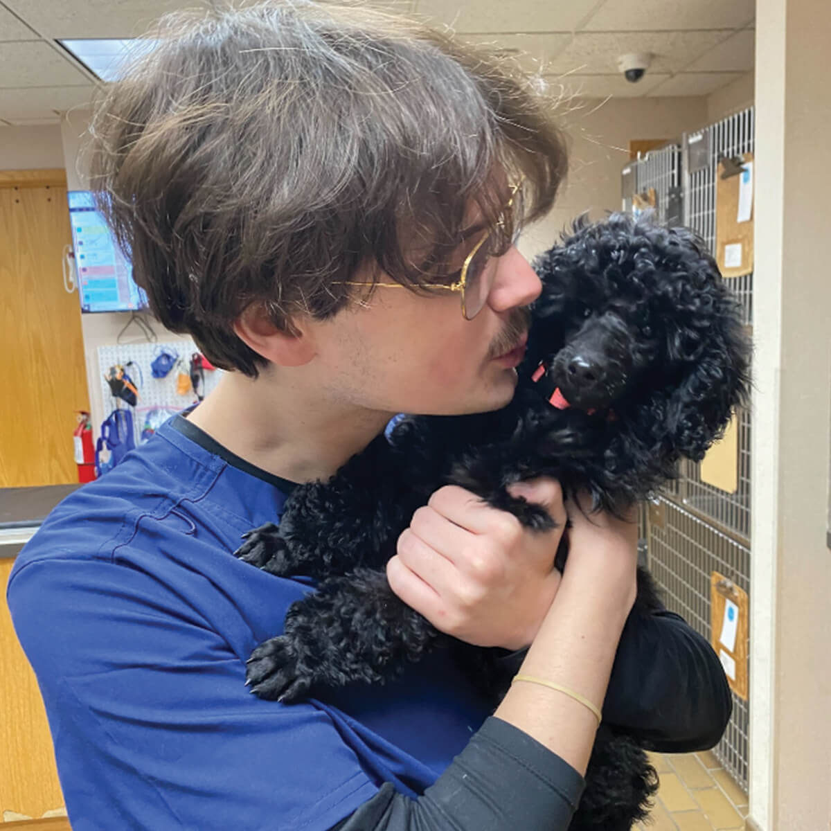 Male Tech Holding Black Poodle