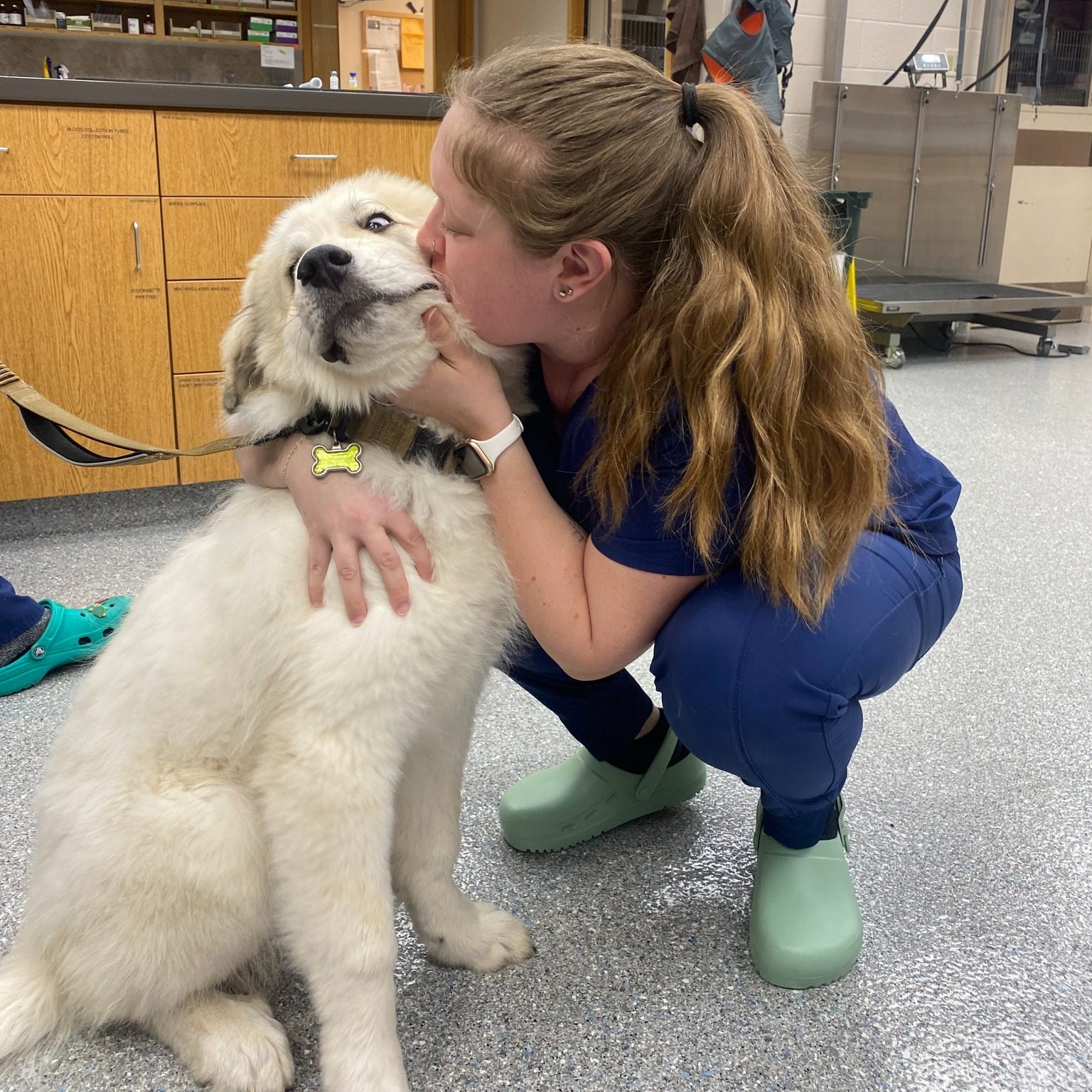 Girl Kissing Puppy On The Cheek