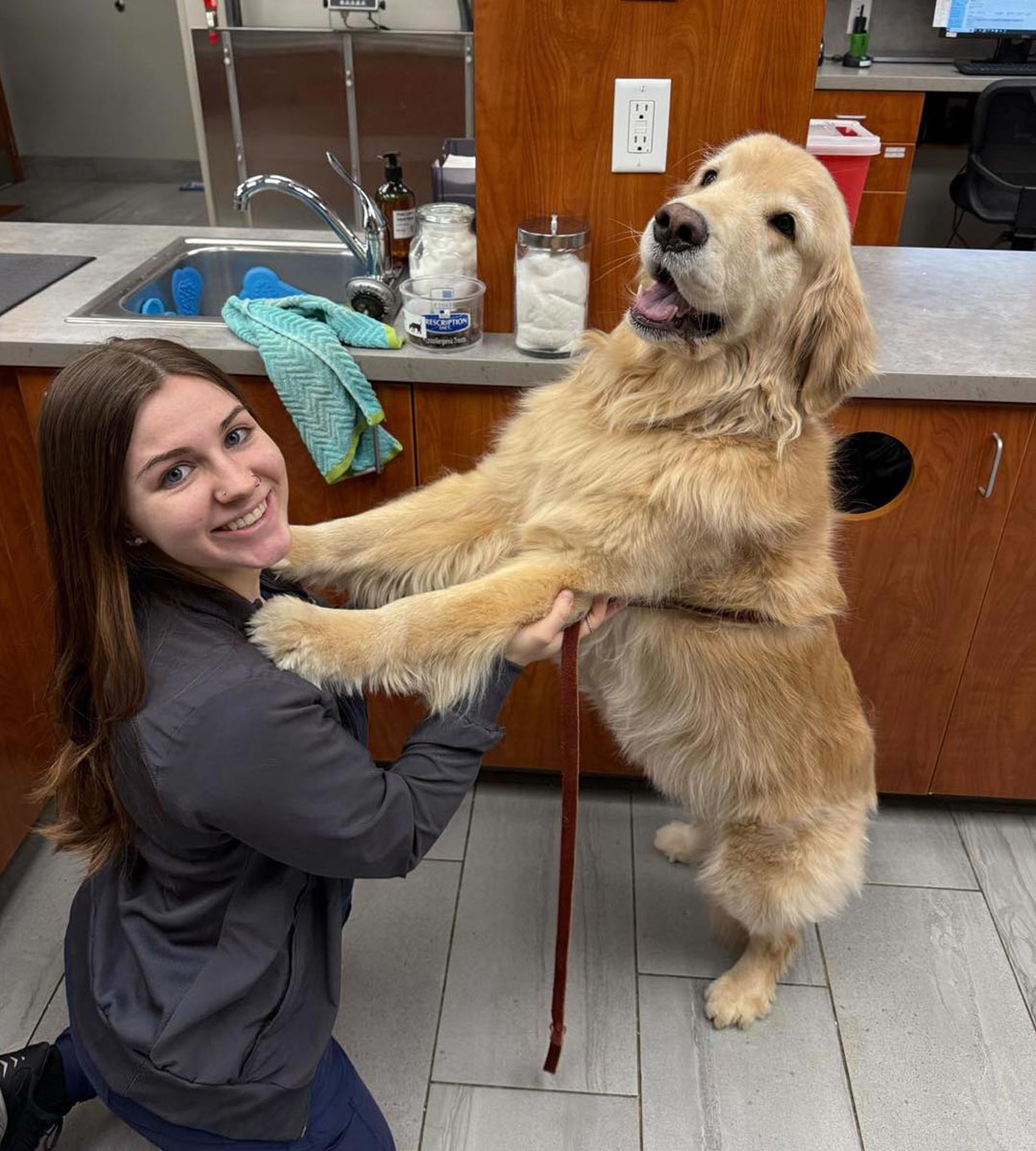 happy female staff member sitting on floor while golden retriever hugs her happy female staff member sitting on floor while golden retriever hugs her
