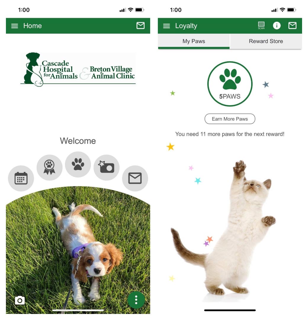 Mobile App mobile app home screen