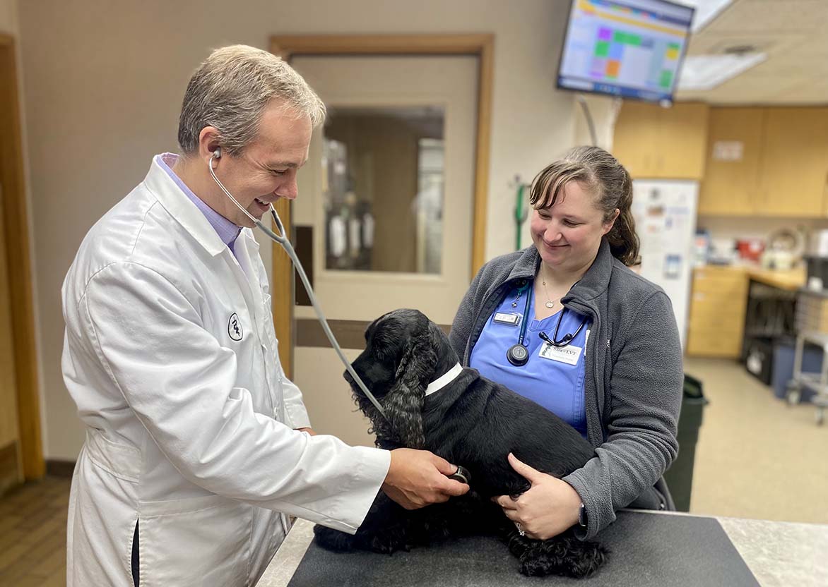 Vet And Assistant veterinarian and assistant smiling at small black dog