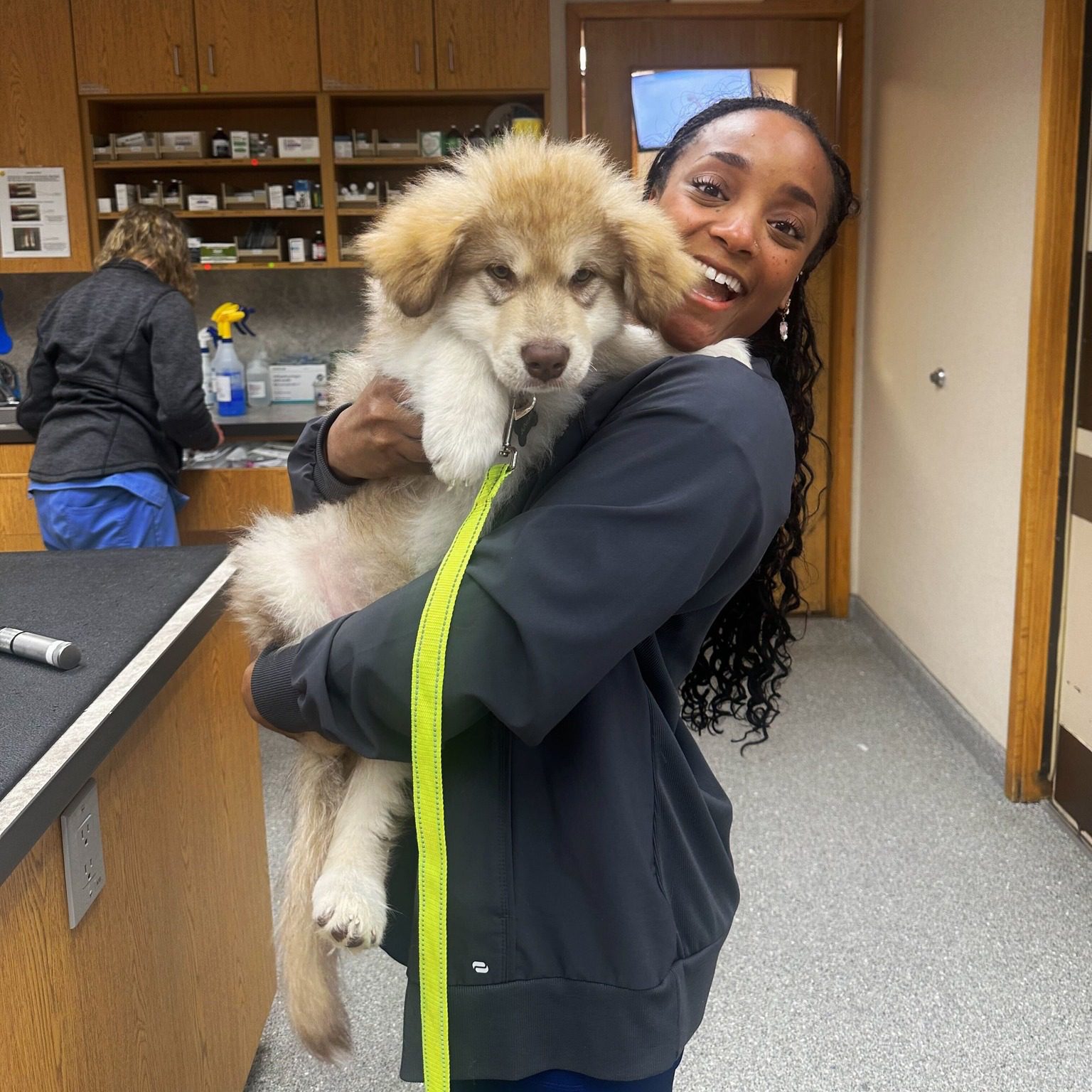 Veterinary Assistant Holding Fluffy Puppy