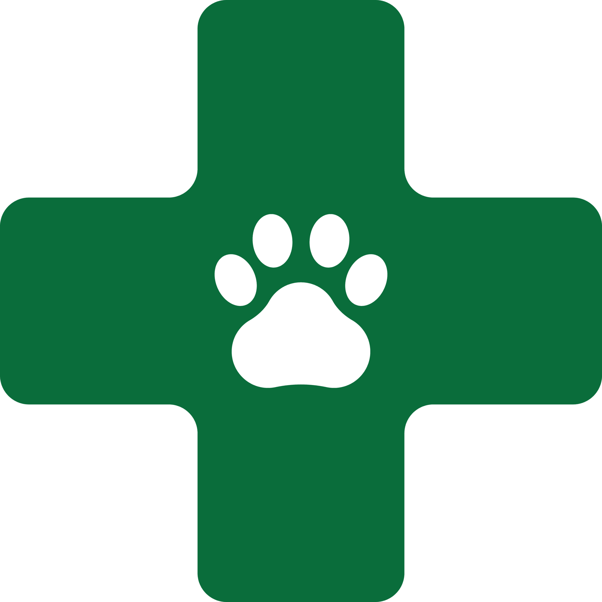 Veterinary Services to Support Lifelong Health